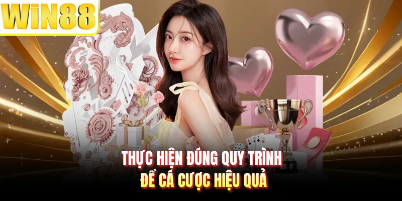 Thực hiện đúng quy trình để cá cược hiệu quả